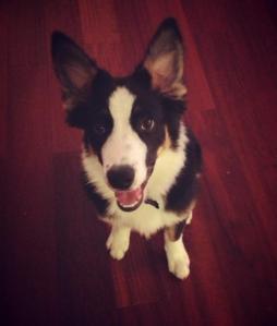 I stare cause I WUV YOU!!