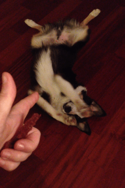 Seriously people, he can do it. Bet you thought I made that up... where's the trust?!?