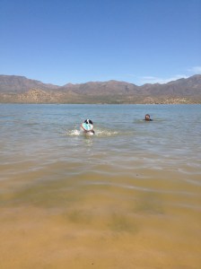 SOMETHING TOUCHED MY LEG, I'M TOO YOUNG TO DIE!!!!