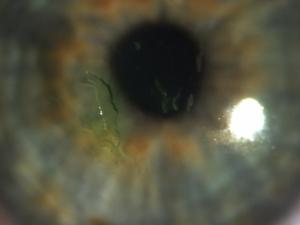 972313_10151796568684919_1636397558_n