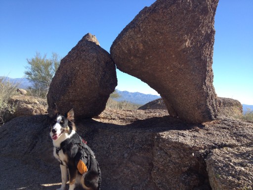 Before the pee scare, when he still liked me.