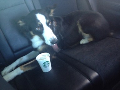 Do I have any on my face?