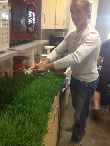 Jake  aka "special" grass guy