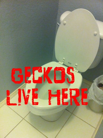 Per Google Image Search  this is very common.